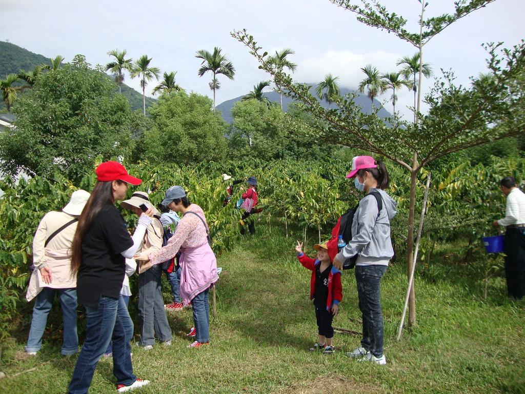 Taroko Sialin Coffee Farm Homestay Xiulin Exterior foto